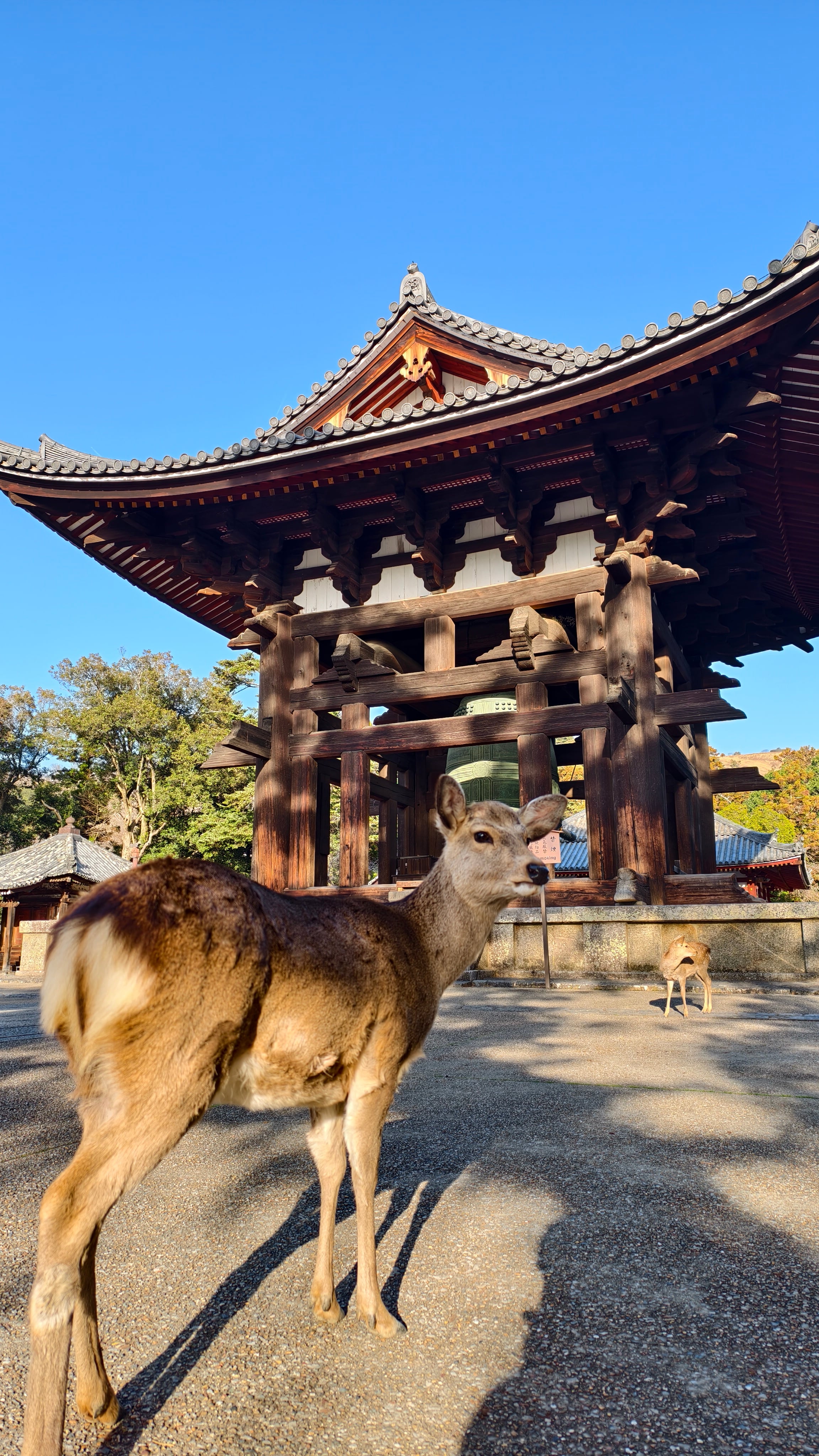 Nara (奈良)